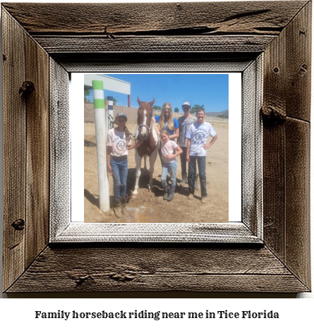 family horseback riding near me in Tice, Florida